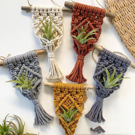 Homorahub Home Decor Mini Macrame Plant Hangers For Air Plant